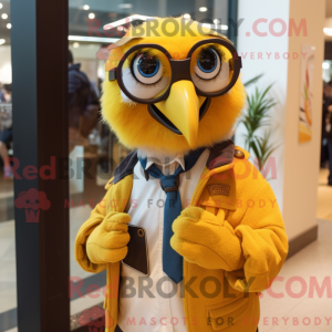 Guld Macaw maskot kostume...