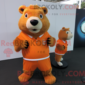 Costume mascotte de...