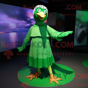 Zielony albatros...