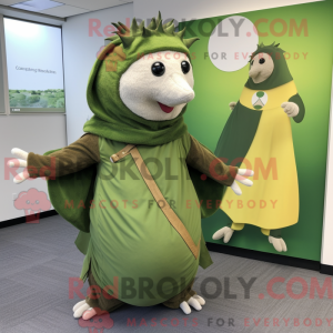 Olive Hedgehog...