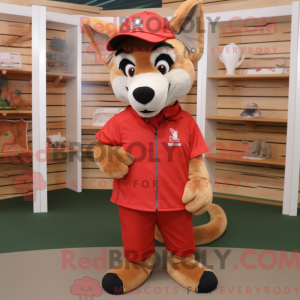 Red Dingo Maskottchen...