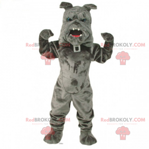 Haustiere Maskottchen - Bulldogge mit Kragen - Redbrokoly.com