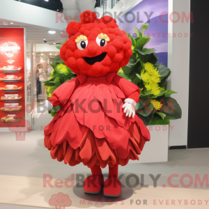 Red Cauliflower mascot...
