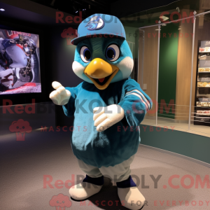 Teal Blue Jay...