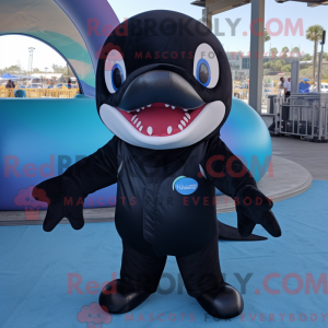 Black Killer Whale maskot...