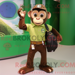 Oliven Capuchin Monkey...