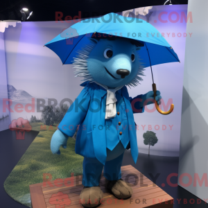 Blue Hedgehog...