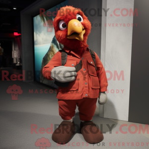 Red Pigeon maskot kostume...