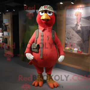 Red Pigeon-maskotdraktfigur...