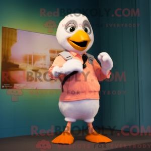 Peach Albatross...