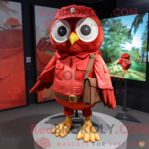 Red Owl maskotdraktfigur...