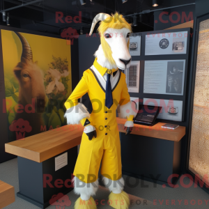 Yellow Boer Goat mascot...