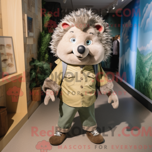 Olive Hedgehog...