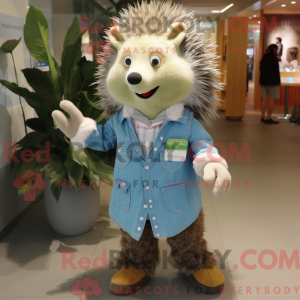 Olive Hedgehog...