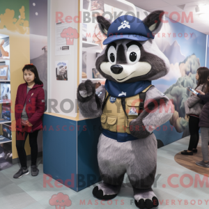 Navy Raccoon...
