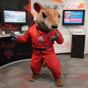 Red Armadillo maskot...