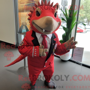 Red Armadillo mascot...