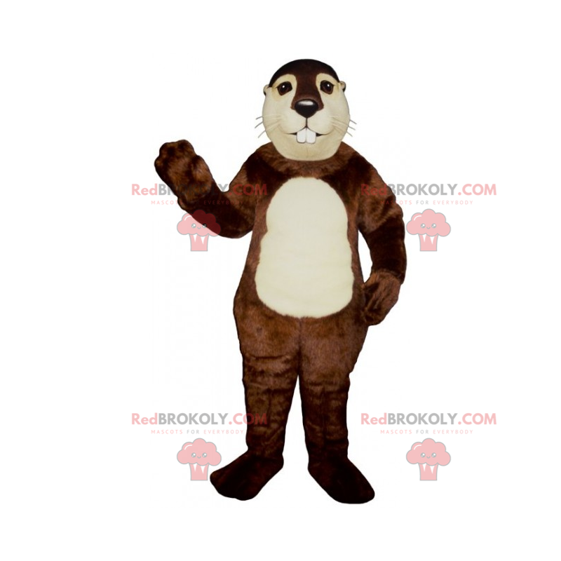 Hamstermaskottchen mit weißem Bauch - Redbrokoly.com
