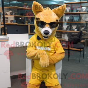 Guld Dingo maskot kostume...
