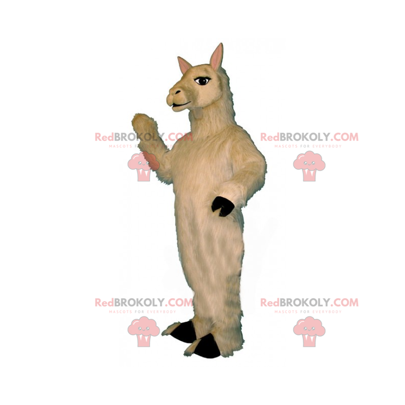 Mascota de llama blanca - Redbrokoly.com