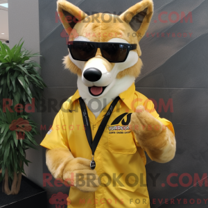 Guld Dingo maskot kostume...
