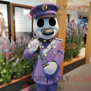 Lavendel American Soldier...