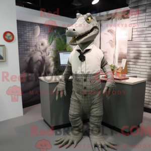 Gray Crocodile mascot...