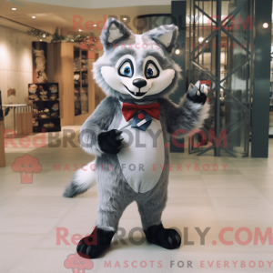 Silver Raccoon mascot...