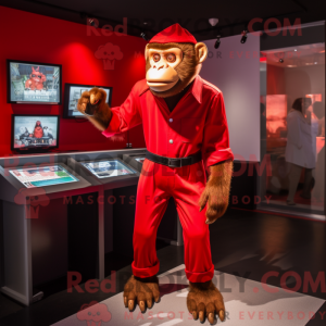 Red Chimpanzee mascot...