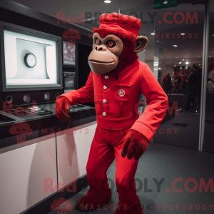 Red Chimpanzee mascot...