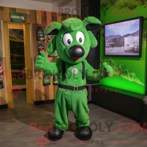 Forest Green Sheep maskot...