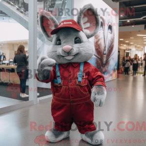 Maroon Chinchilla mascot...