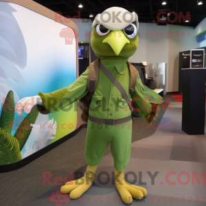 Olive Hawk Maskottchen...