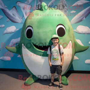 Olive Narwhal mascot...