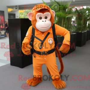 Orange Capuchin Monkey...