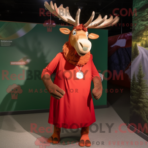 Red Irish Elk mascot...