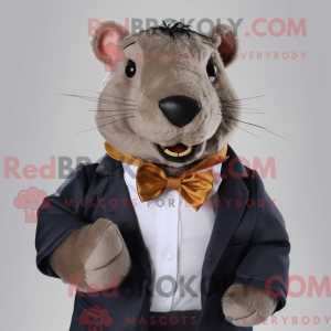 Gray Capybara mascot...