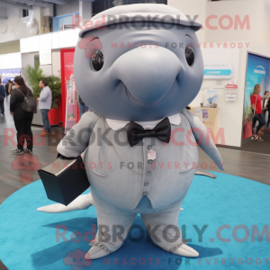 Gray Humpback Whale mascot...