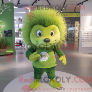 Lime Green Hedgehog...