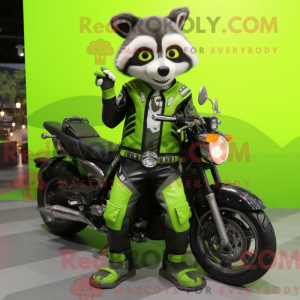 Lime Green Raccoon...