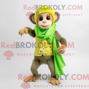 Limegrønn Macaco Capuchinho...