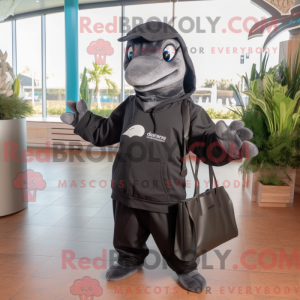 Black Dolphin mascot...