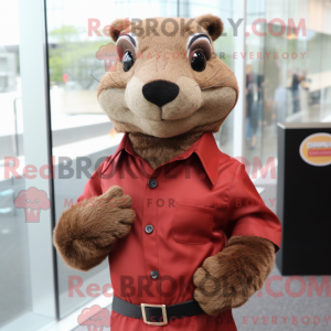 Brown Mongoose mascot...