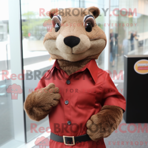 Brun Mongoose maskot...