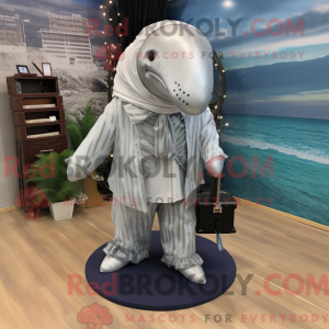 Silver Humpback Whale...