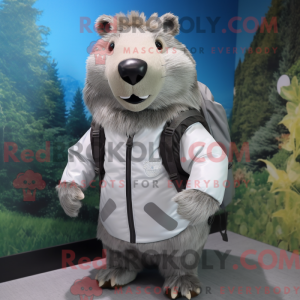 Sølv Capybara maskot...