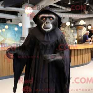 Black Capuchin Monkey...