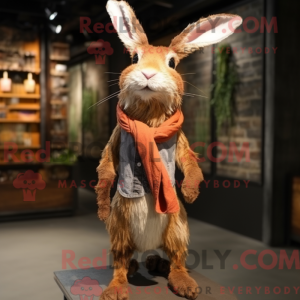 Rust Wild Rabbit...