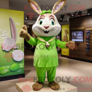 Olive Rabbit...