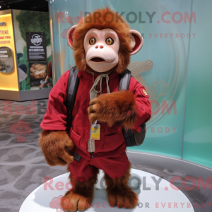 Red Capuchin Monkey maskot...